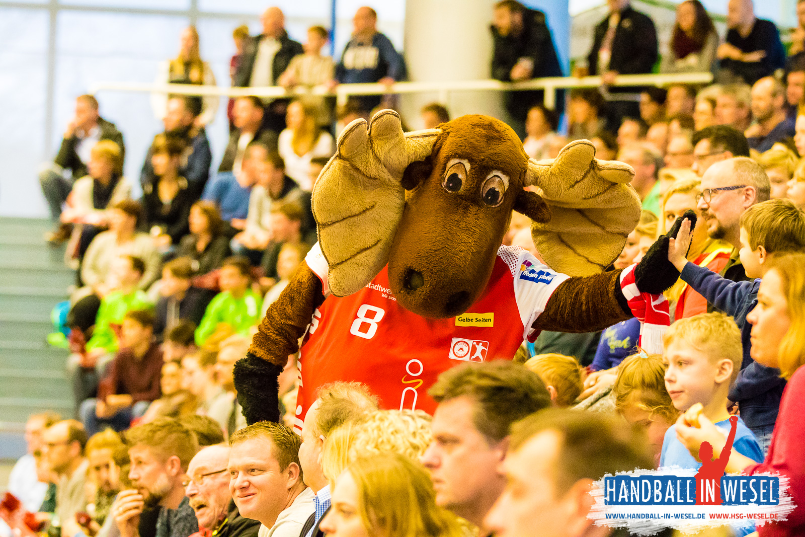 HSG Wesel E-Jugend / Einlaufkids TUSEM Essen 2017